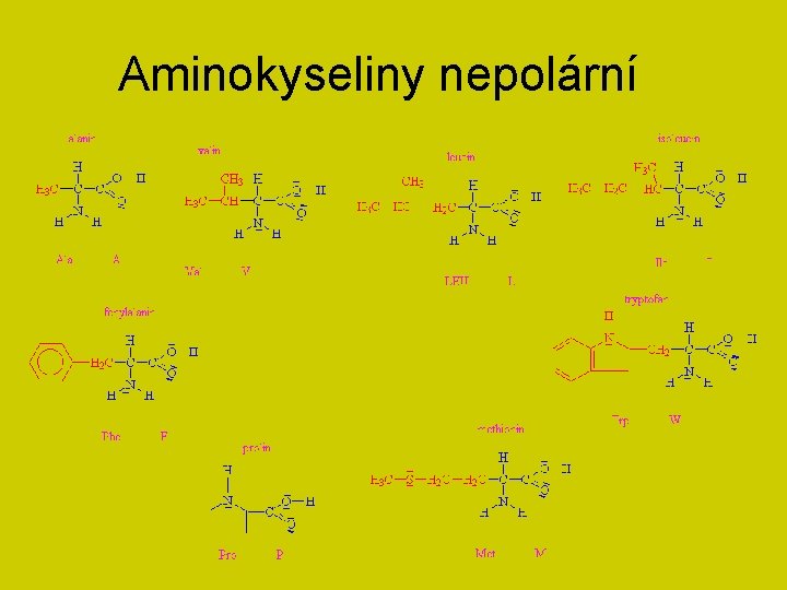 Aminokyseliny nepolární 