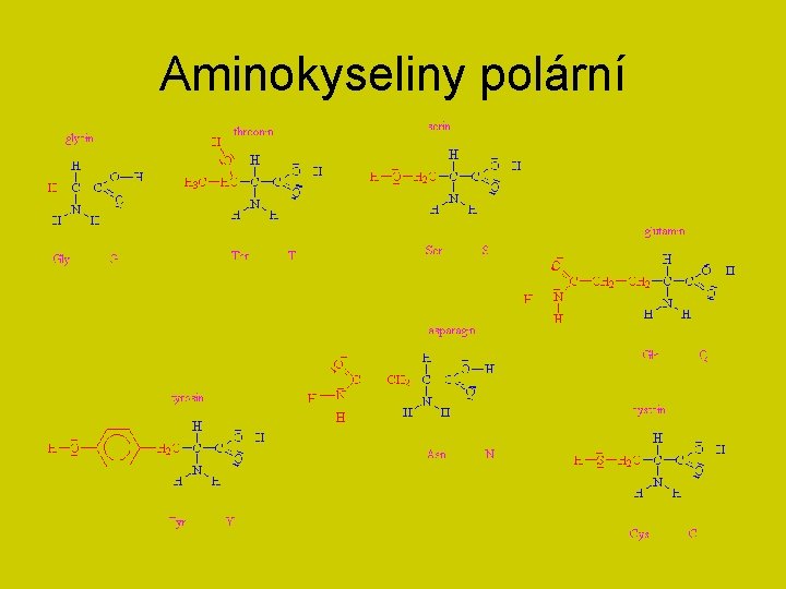 Aminokyseliny polární 