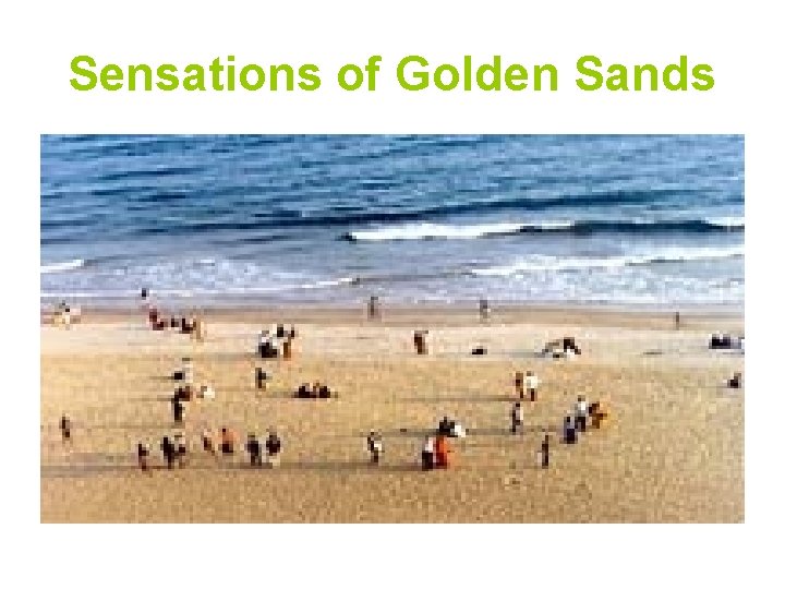 Sensations of Golden Sands 