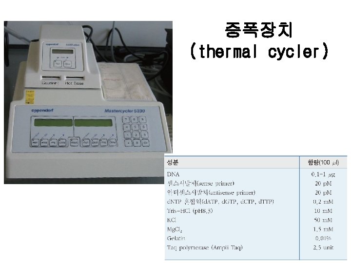 증폭장치 (thermal cycler) 