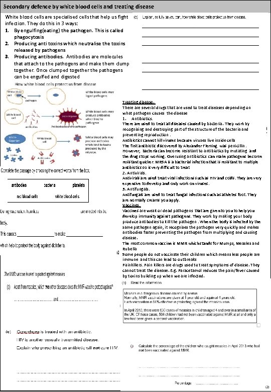 Secondary defence by white blood cells and treating disease White blood cells are specialised