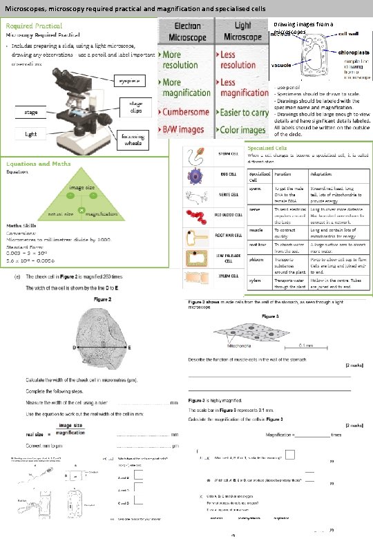 Microscopes, microscopy required practical and magnification and specialised cells Drawing images from a microscopes