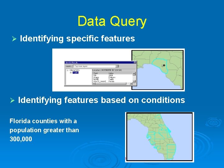 Data Query Ø Identifying specific features Ø Identifying features based on conditions Florida counties Data Query Ø Identifying specific features Ø Identifying features based on conditions Florida counties