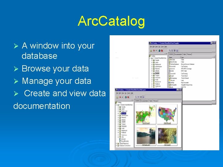 Arc. Catalog A window into your database Ø Browse your data Ø Manage your Arc. Catalog A window into your database Ø Browse your data Ø Manage your