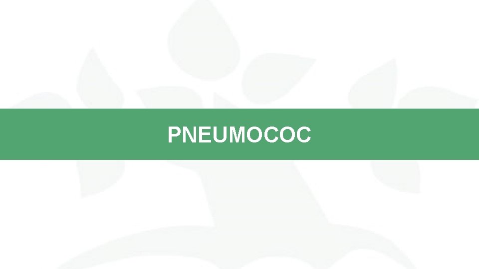 PNEUMOCOC 