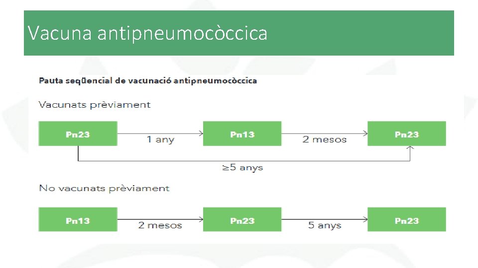 Vacuna antipneumocòccica 