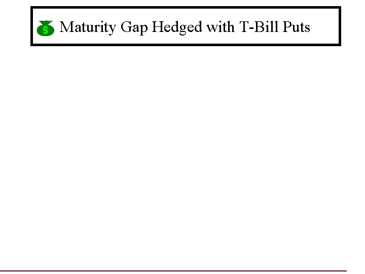 Maturity Gap Hedged with T-Bill Puts 
