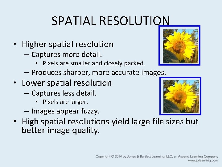 SPATIAL RESOLUTION • Higher spatial resolution – Captures more detail. • Pixels are smaller SPATIAL RESOLUTION • Higher spatial resolution – Captures more detail. • Pixels are smaller