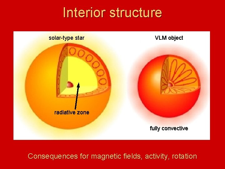 Interior structure solar-type star VLM object radiative zone fully convective Consequences for magnetic fields,