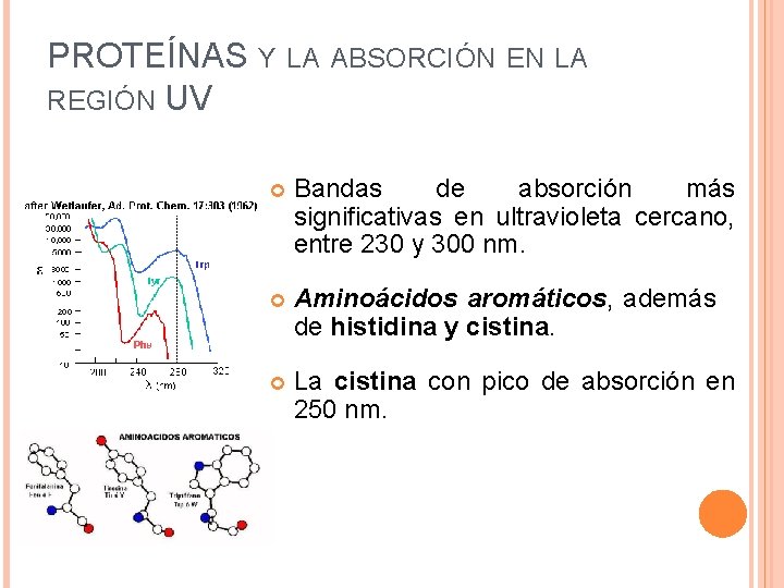 PROTEÍNAS Y LA ABSORCIÓN EN LA REGIÓN UV Bandas de absorción más significativas en