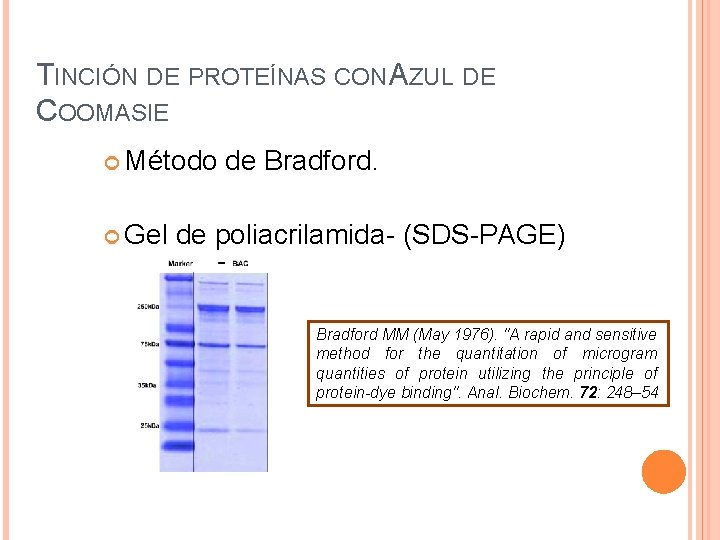 TINCIÓN DE PROTEÍNAS CON AZUL DE COOMASIE Método Gel de Bradford. de poliacrilamida- (SDS-PAGE)