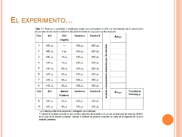 EL EXPERIMENTO… 