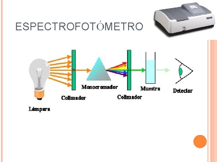 ESPECTROFOTÓMETRO 