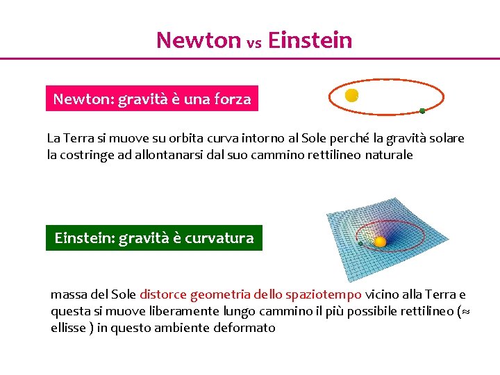 Newton vs Einstein Newton: gravità è una forza La Terra si muove su orbita