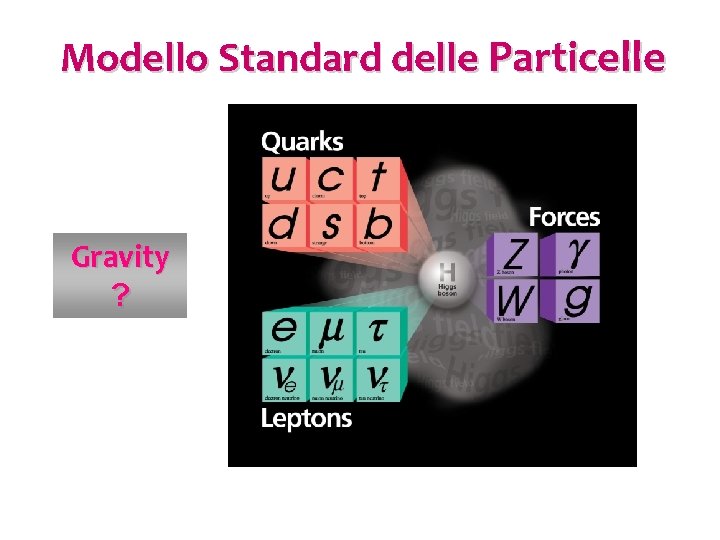 Modello Standard delle Particelle Gravity ? 