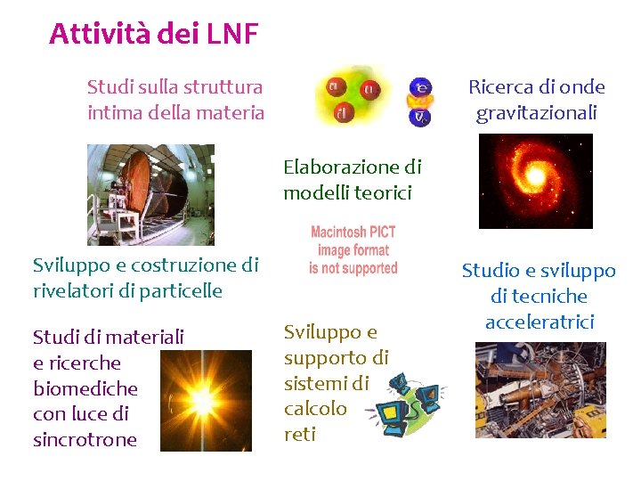 Attività dei LNF Studi sulla struttura intima della materia Ricerca di onde gravitazionali Elaborazione