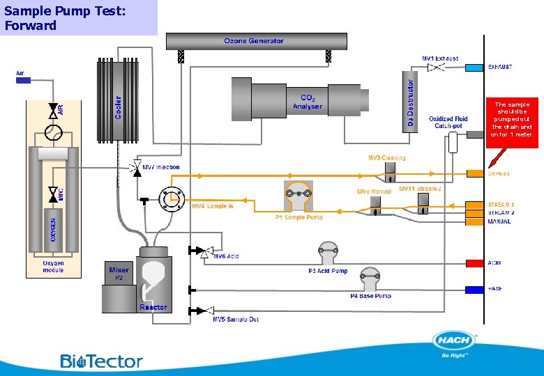 Sample Pump Test: Forward The sample should be pumped out the drain and on