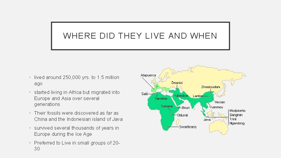 WHERE DID THEY LIVE AND WHEN • lived around 250, 000 yrs. to 1.