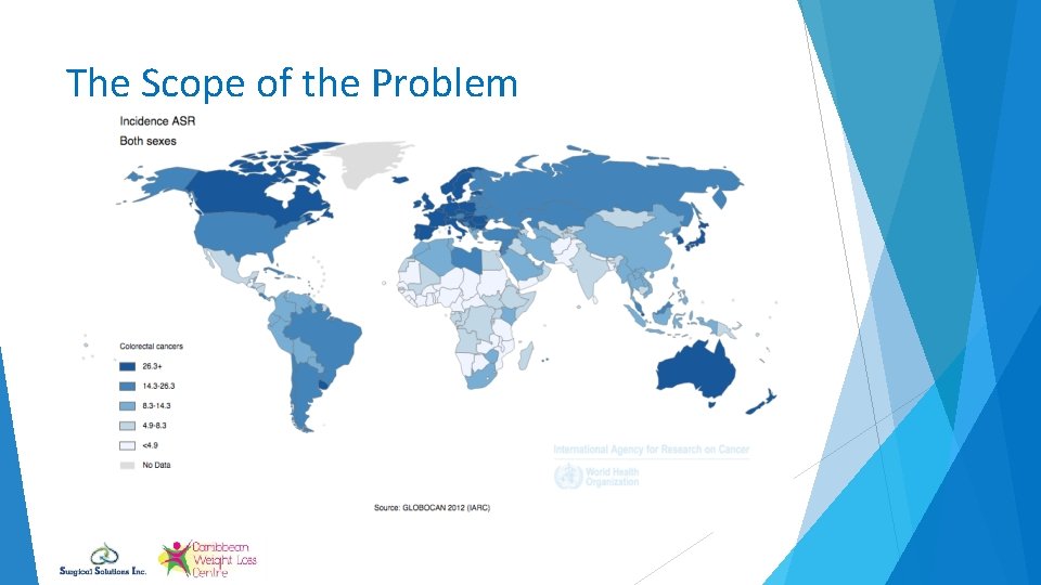 The Scope of the Problem 