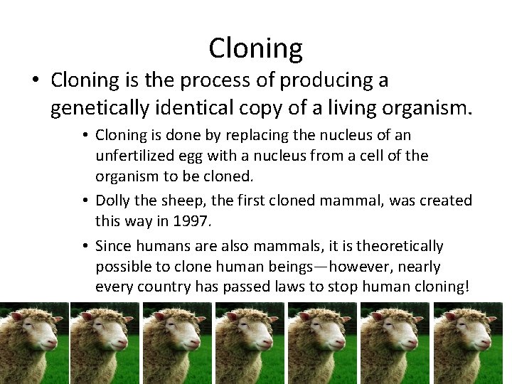 Cloning • Cloning is the process of producing a genetically identical copy of a