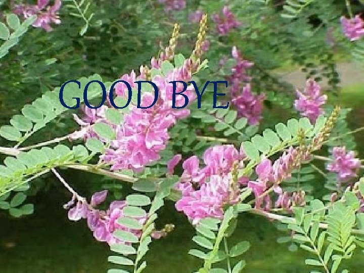 GOOD BYE 