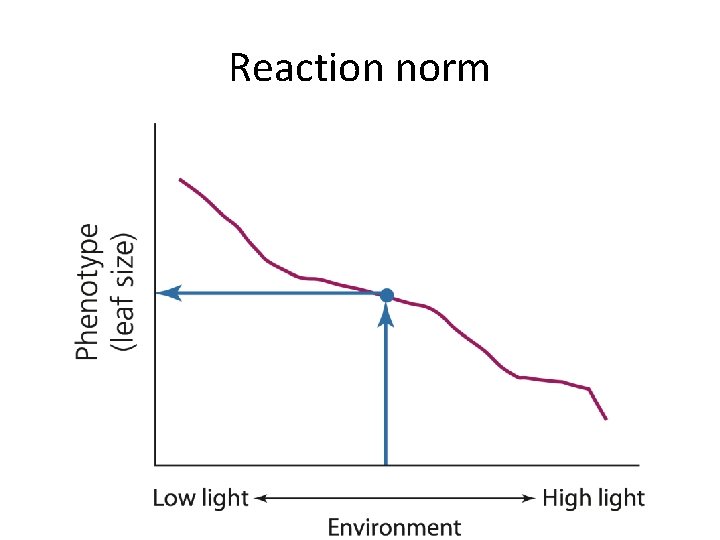 Reaction norm 