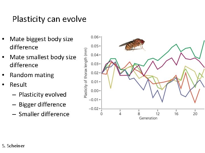 Plasticity can evolve • Mate biggest body size difference • Mate smallest body size