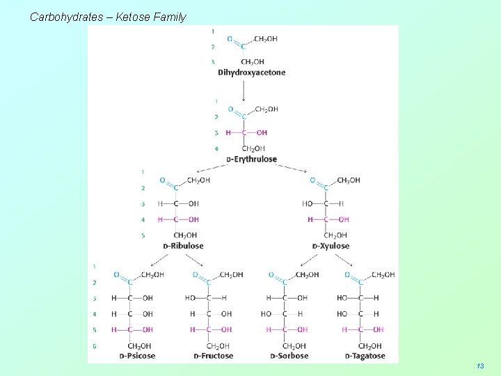 Carbohydrates – Ketose Family 13 