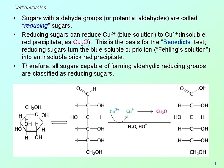 Carbohydrates • Sugars with aldehyde groups (or potential aldehydes) are called “reducing” sugars. •