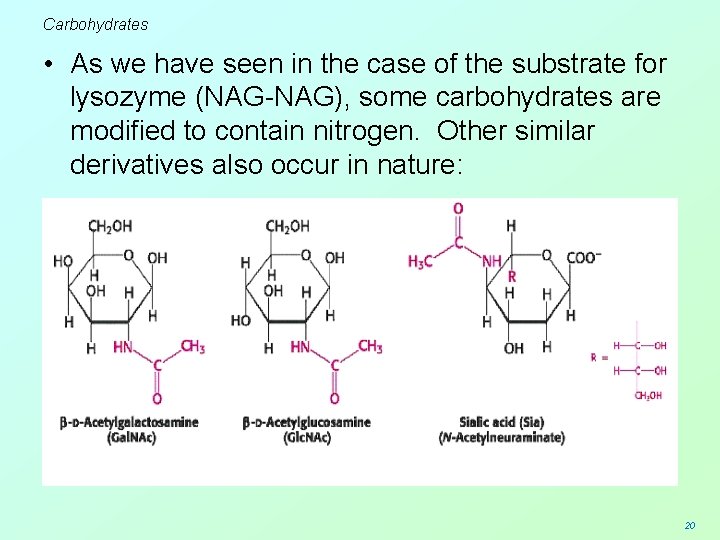 Carbohydrates • As we have seen in the case of the substrate for lysozyme