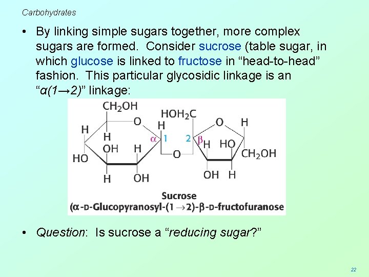 Carbohydrates • By linking simple sugars together, more complex sugars are formed. Consider sucrose