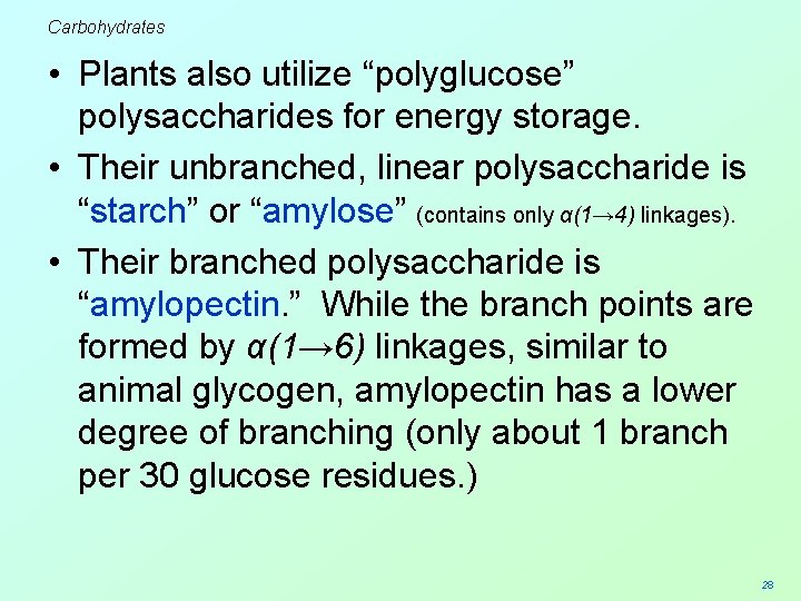 Carbohydrates • Plants also utilize “polyglucose” polysaccharides for energy storage. • Their unbranched, linear