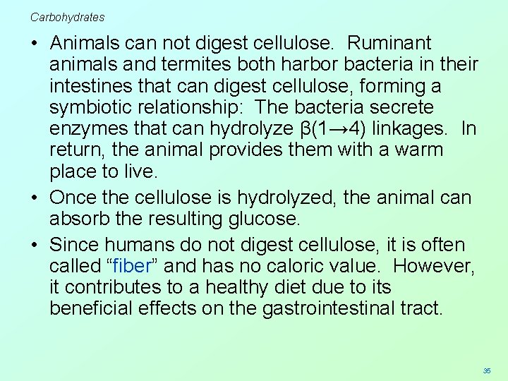Carbohydrates • Animals can not digest cellulose. Ruminant animals and termites both harbor bacteria