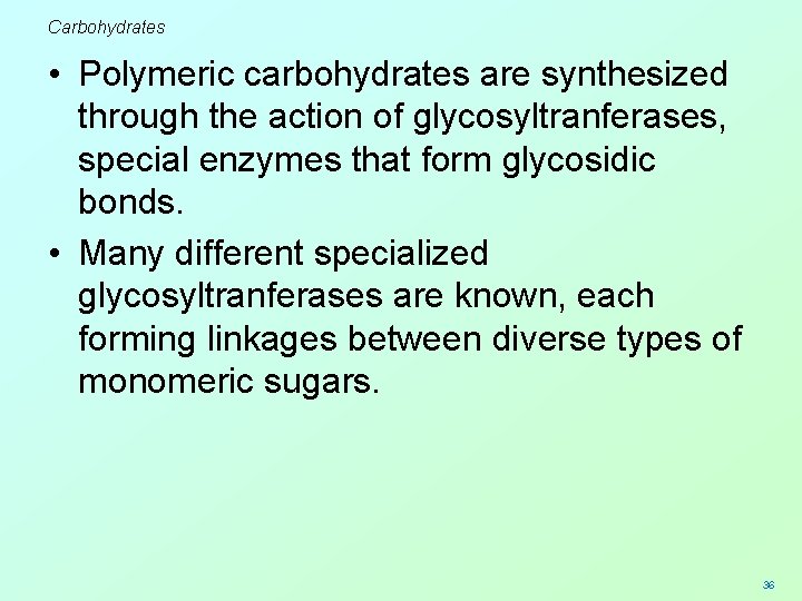 Carbohydrates • Polymeric carbohydrates are synthesized through the action of glycosyltranferases, special enzymes that
