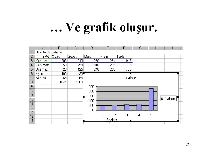 … Ve grafik oluşur. Aylar 24 