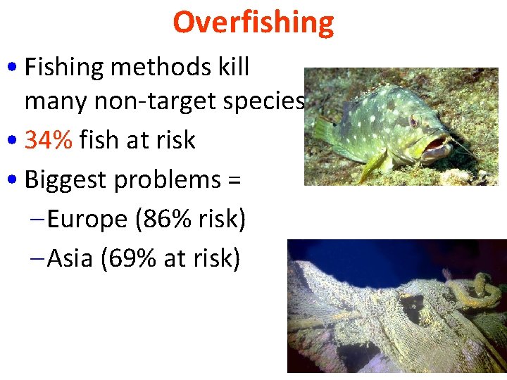 Overfishing • Fishing methods kill many non-target species • 34% fish at risk •