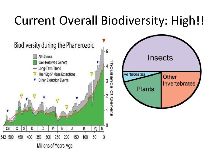 Current Overall Biodiversity: High!! 