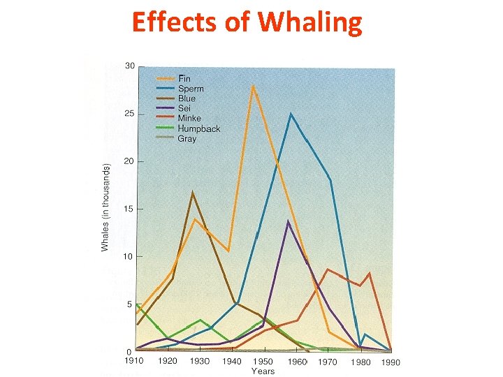 Effects of Whaling 