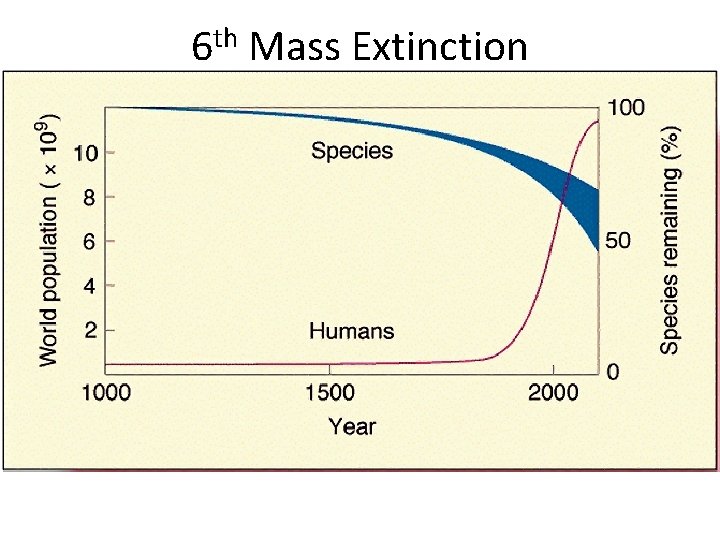 6 th Mass Extinction 