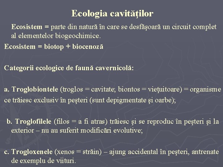 Ecologia cavităţilor Ecosistem = parte din natură în care se desfăşoară un circuit complet Ecologia cavităţilor Ecosistem = parte din natură în care se desfăşoară un circuit complet
