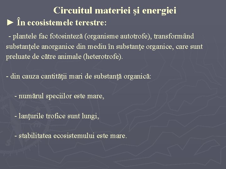 Circuitul materiei şi energiei ► În ecosistemele terestre: - plantele fac fotosinteză (organisme autotrofe), Circuitul materiei şi energiei ► În ecosistemele terestre: - plantele fac fotosinteză (organisme autotrofe),