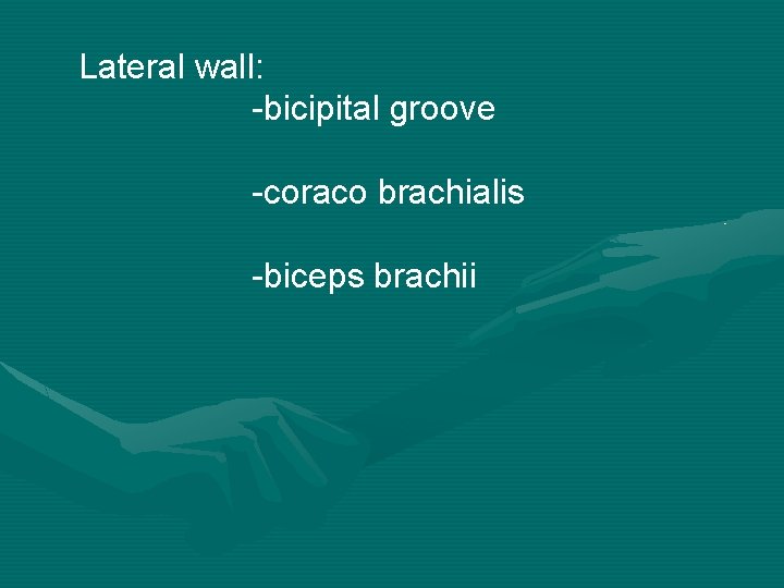 Lateral wall: -bicipital groove -coraco brachialis -biceps brachii 