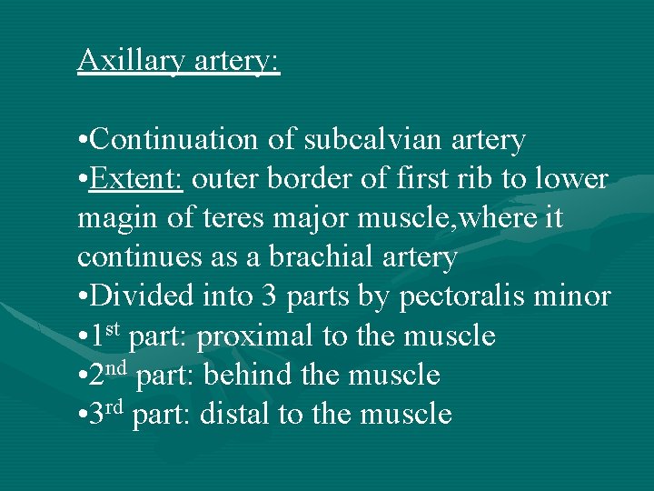 Axillary artery: • Continuation of subcalvian artery • Extent: outer border of first rib