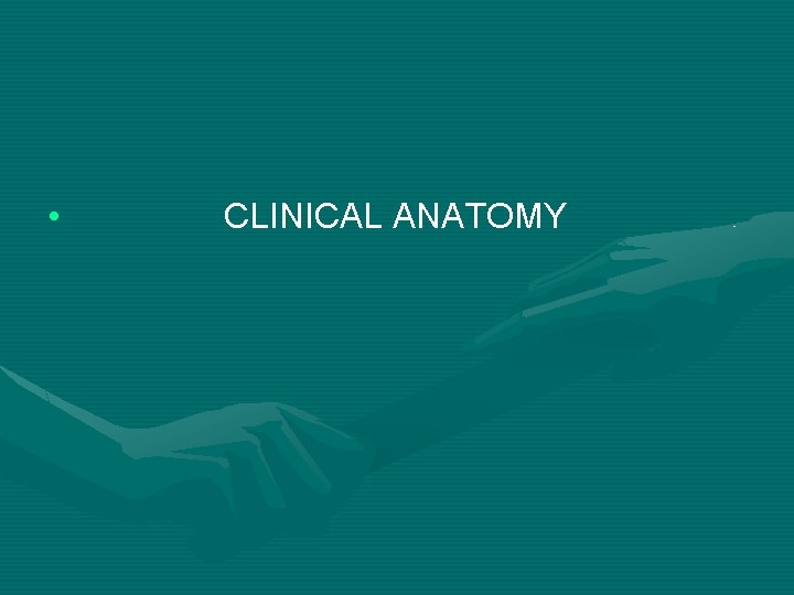  • CLINICAL ANATOMY 