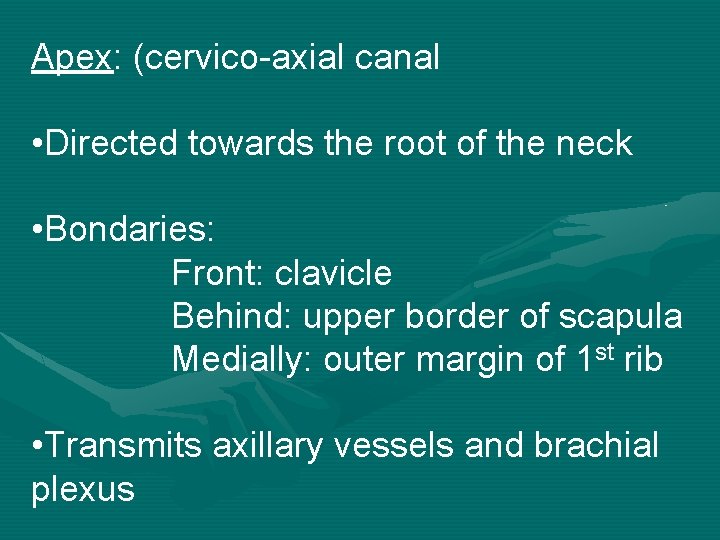 Apex: (cervico-axial canal • Directed towards the root of the neck • Bondaries: Front: