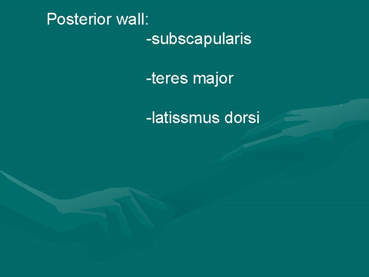 Posterior wall: -subscapularis -teres major -latissmus dorsi 