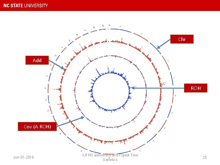 Chr Add ROH Cov (A ROH) Jun-01 -2016 IUFRO Genomics and Forest Tree Genetics
