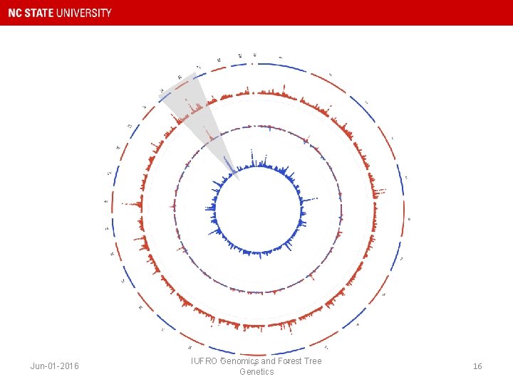 Jun-01 -2016 IUFRO Genomics and Forest Tree Genetics 16 