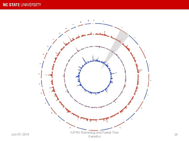 Jun-01 -2016 IUFRO Genomics and Forest Tree Genetics 18 
