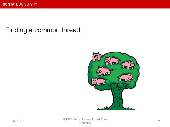 Finding a common thread… Jun-01 -2016 IUFRO Genomics and Forest Tree Genetics 2 